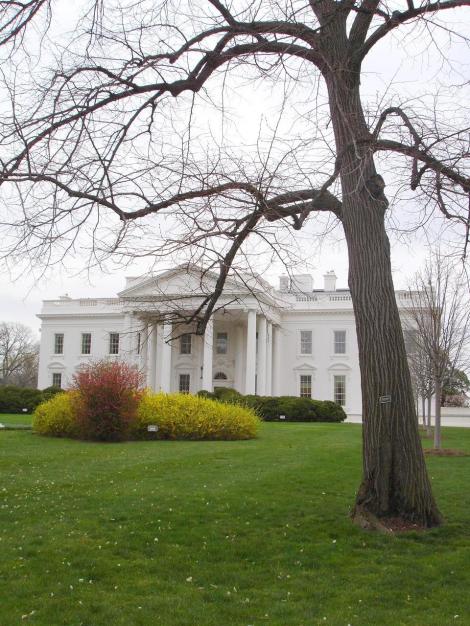 White House Lawn in Winter